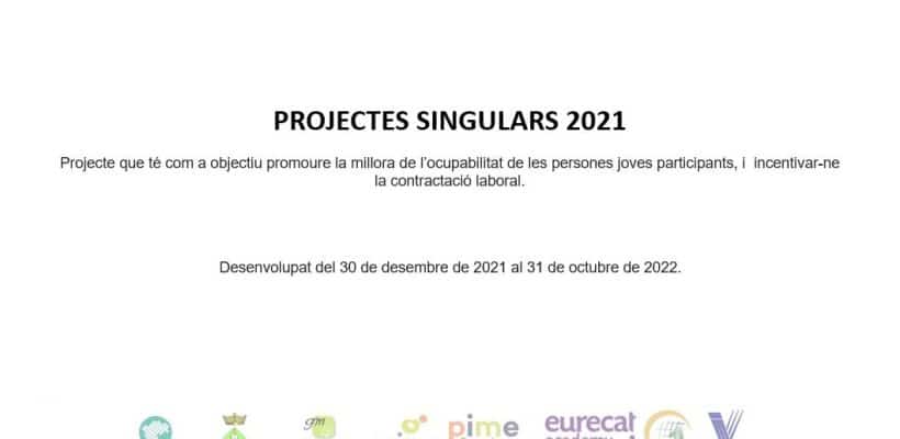 projectes singulars